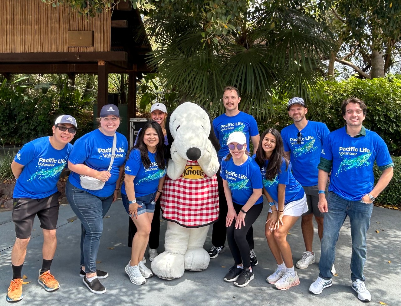 Team Meeting in Newport Beach